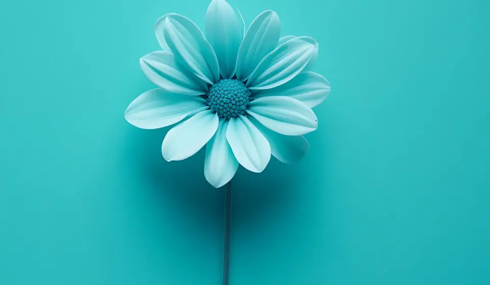 blue flower is blue background